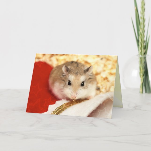 Tarjeta Hammyville - Cute Hamster (Anverso)
