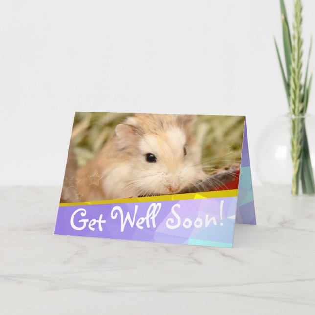 Tarjeta Hammyville - Cute Hamster se pone bien pronto (Anverso)
