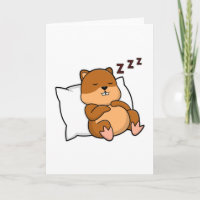 Hamster con almohada