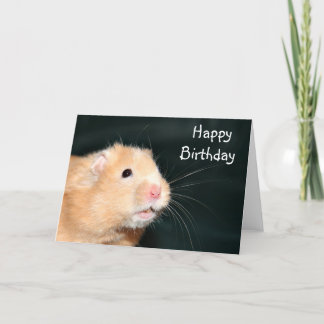 Tarjeta Hámster del feliz cumpleaños