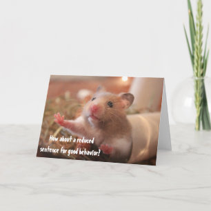 Tarjeta Hamster Divertido En Jaula Cárcel Buen Comportamie