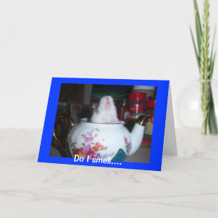 Tarjeta Hamster En Teapot