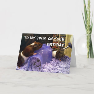 TARJETA HAMSTER HUMOR DE TWINS=FÁCIL SER TU DOS