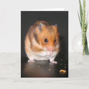 Tarjeta Hamster notecard