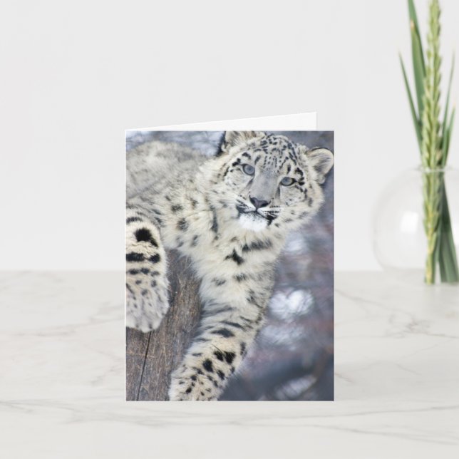 Tarjeta Hangin alrededor…. (Anverso)