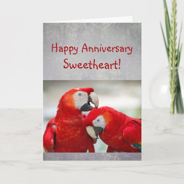 Tarjeta Happy Anniversary Sweetheart Parrot Couple Love (Anverso)