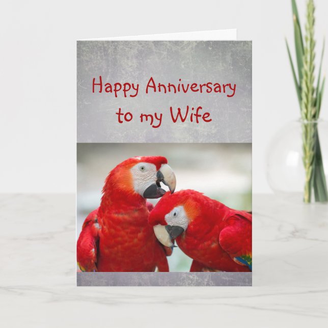 Tarjeta Happy Anniversary Sweetheart Parrot Wife Love  (Anverso)