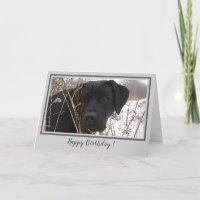Happy Birday Black Lab - Perro de caza del pato gr