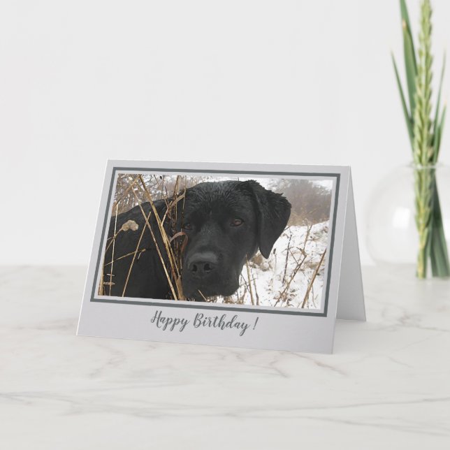Tarjeta Happy Birday Black Lab - Perro de caza del pato gr (Anverso)