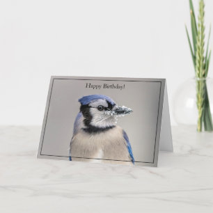 Tarjeta Happy Birday Card Blue Jay
