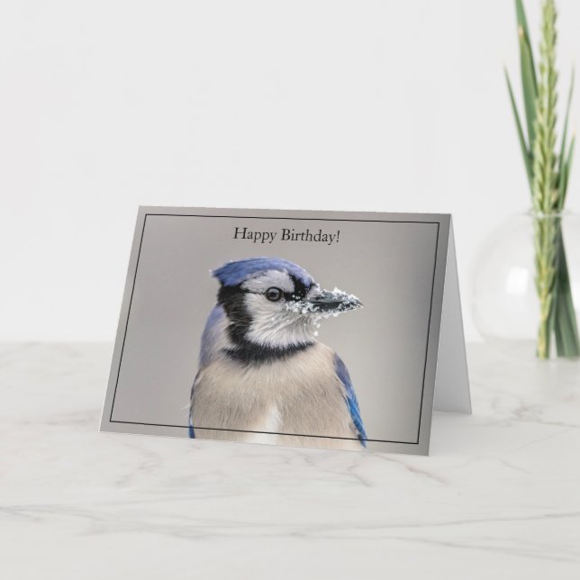 Tarjeta Happy Birday Card Blue Jay (Anverso)