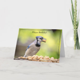 Tarjeta Happy Birday Card Blue Jay