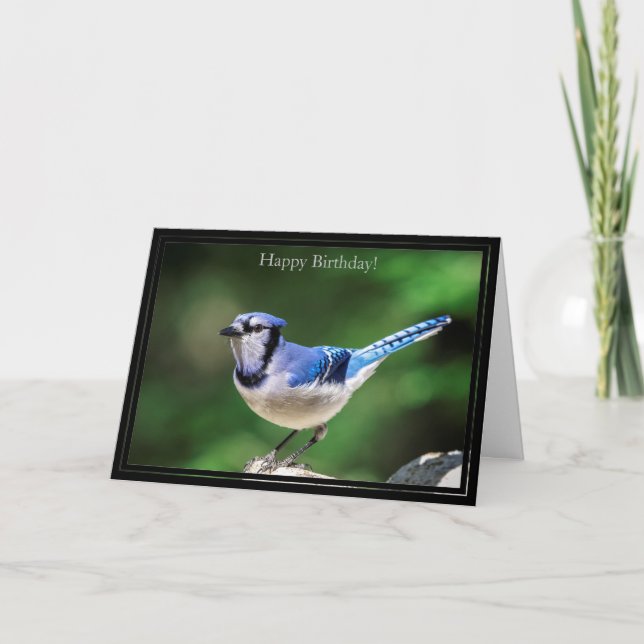 Tarjeta Happy Birday Card Blue Jay (Anverso)
