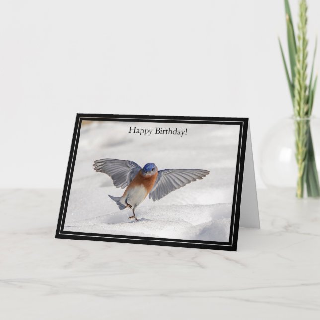 Tarjeta Happy Birday Card Eastern Bluebird (Anverso)