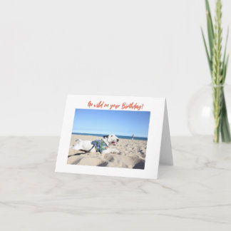 Tarjeta Happy Birthday! Beach Bull Terrier Hawaii