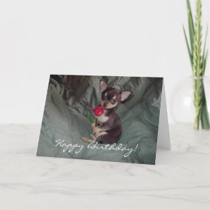 Tarjeta Happy Birthday Chihuahua Puppy Card