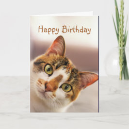 Tarjeta Happy Birthday Fun Cat Kitten Pop in