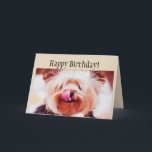 Tarjeta Happy Birthday Fun Yorkie Dog Licking Lips<br><div class="desc">If you know someone with a birthday that loves Yorkies, Yorkshire Terrier Dogs or Cake then this is the perfect funny birthday card for those with a sense of humor. The inside text says, Let there be cake, Oh and a Happy Birthday to You too which you can remove if...</div>