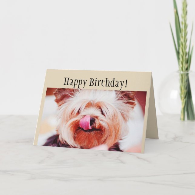 Tarjeta Happy Birthday Fun Yorkie Dog Licking Lips (Anverso)