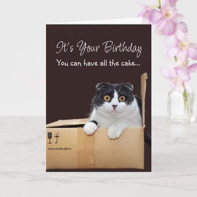 Tarjeta Happy Birthday Funny Cat  (Orquídea)