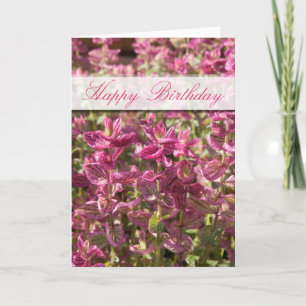 Tarjeta Happy Birthday Pink Leaves On Plant Stalks Photo