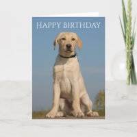 Happy Birthday Yellow Labrador Retriever Puppy Dog