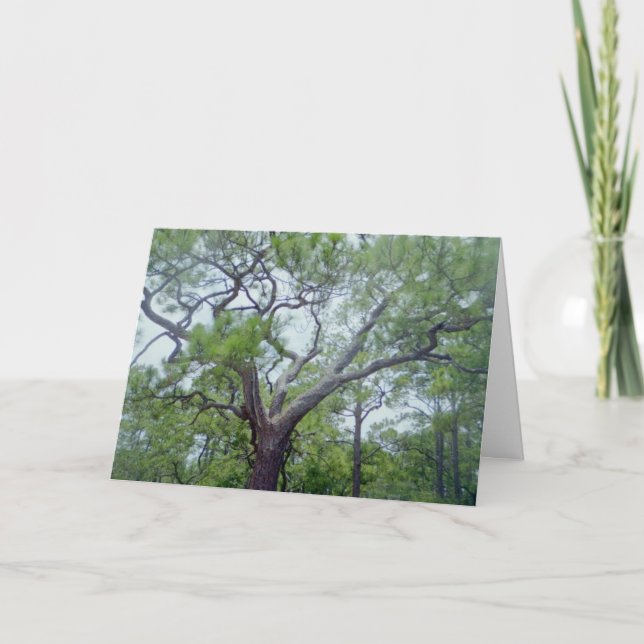 Tarjeta Happy Fathers Day (Anverso)