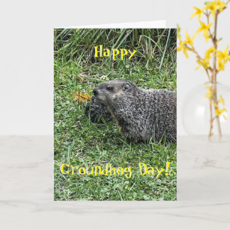 Tarjeta Happy Groundhog Day, custom greeting cards