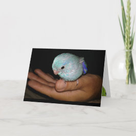 Tarjeta Happy Hatch Day Bird Birthday Greeting Card Art
