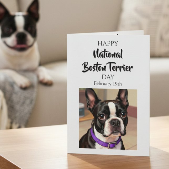 Tarjeta Happy National Boston Terrier Day | Feb 19th (Subido por el creador)