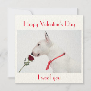 Tarjeta Happy Valentine's Day Bull Terrier with a Rose