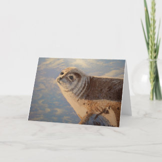 Tarjeta Harbour Seal P.E.I.