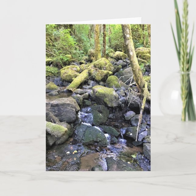 Tarjeta Hardy Creek, Molalla, Oregón (Anverso)