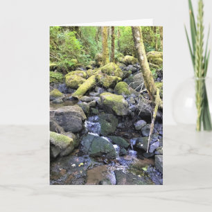Tarjeta Hardy Creek, Molalla, Oregón