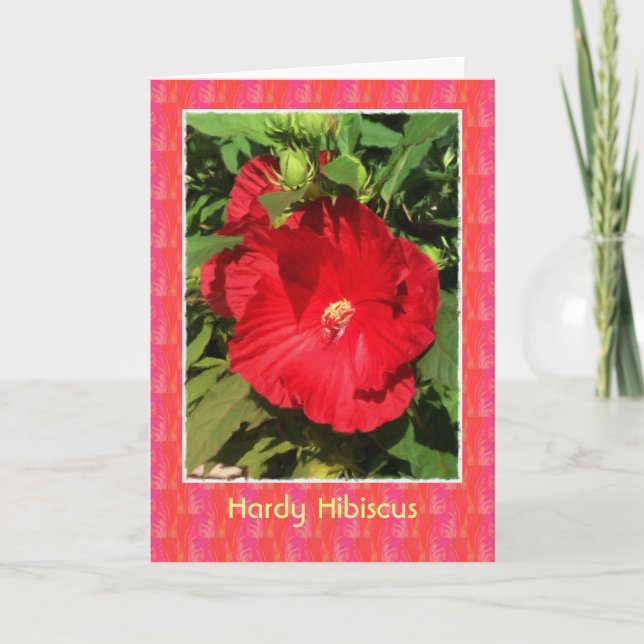 Tarjeta Hardy Hibiscus Blank Card (Anverso)