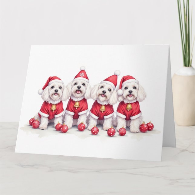 Tarjeta Havanese Christmas Dress Santa Hat (Anverso)