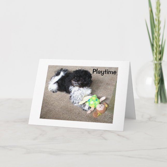 TARJETA HAVANESE DICE QUE DESEARÍA PODER JUGAR CONTIGO EL  (Anverso)