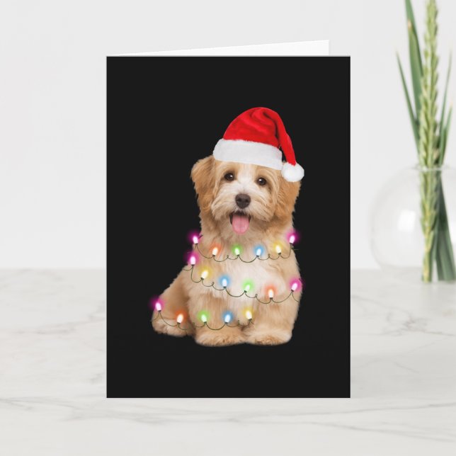Tarjeta Havanese puppy christmas gift for her (Anverso)