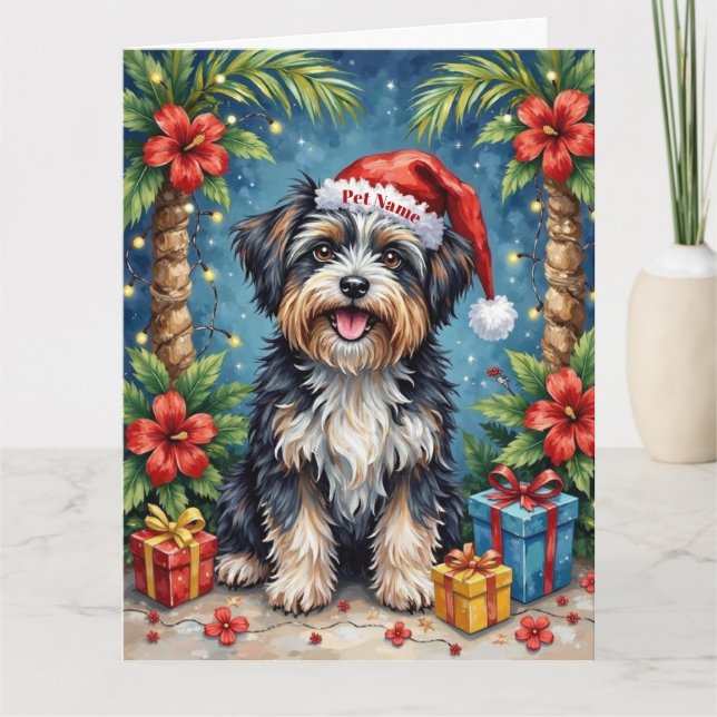 Tarjeta Havanese Tropical Christmas Night Hat (Anverso)