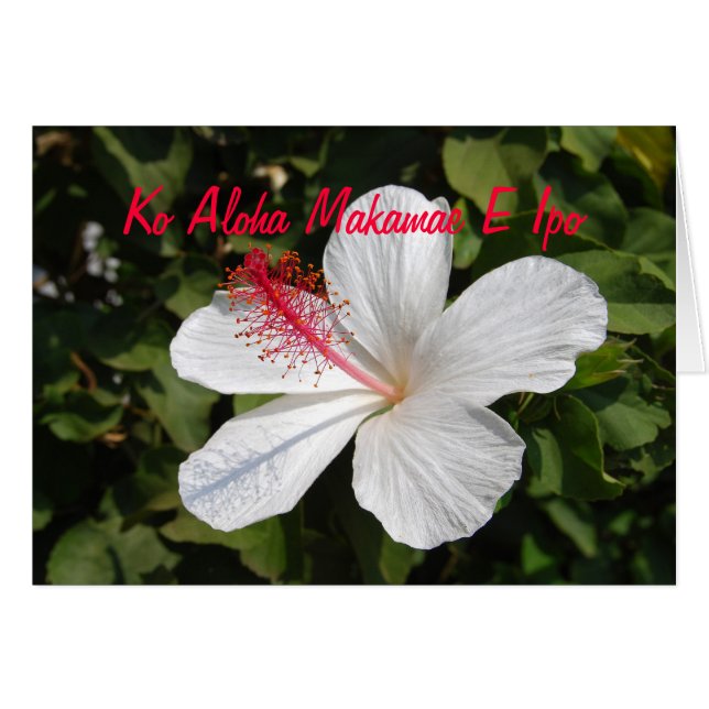 Tarjeta hawaiana de amor preciso blanca Hibiscus (Anverso (Horizontal))