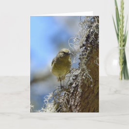 Tarjeta Hawaii Amakihi