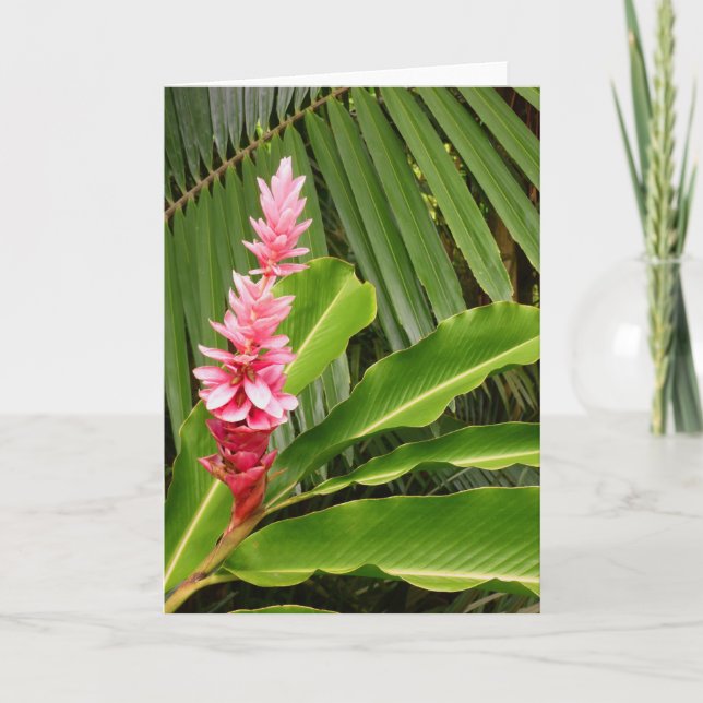 Tarjeta Hawaii Ginger (Anverso)