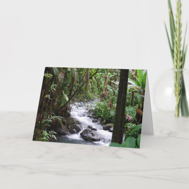 Tarjeta Hawaii la Isla Grande (Anverso)