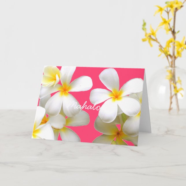 Tarjeta Hawaiian white plumeria greeting card pink (flor amarilla)