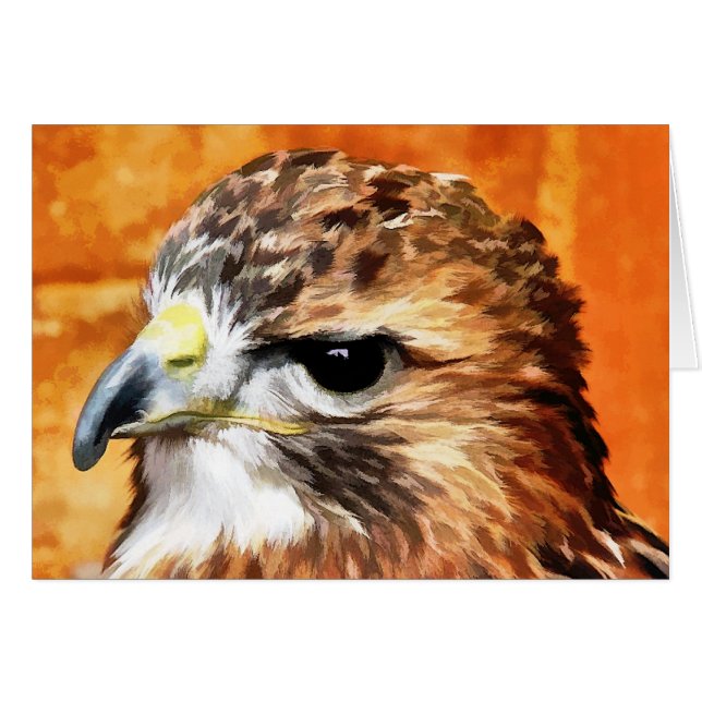 TARJETA HAWK (Anverso (Horizontal))