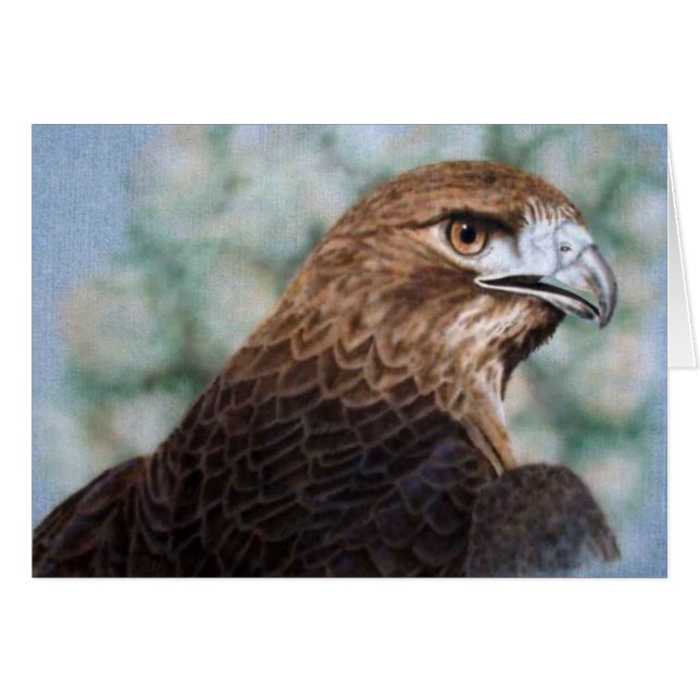 Tarjeta Hawk de cola roja (Anverso (Horizontal))