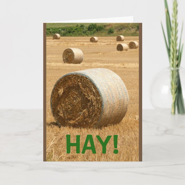Tarjeta ¡HAY! Cumpleaños (Anverso)
