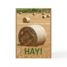 ¡HAY! Get Well Soon