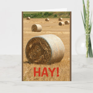 Tarjeta ¡HAY! ¿Serías Mi Valentín?