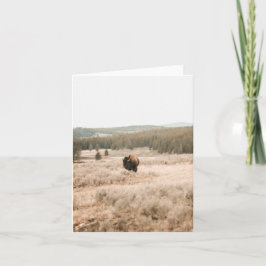 Tarjeta Hayden Valley -- 4" x 5.6" Notecard